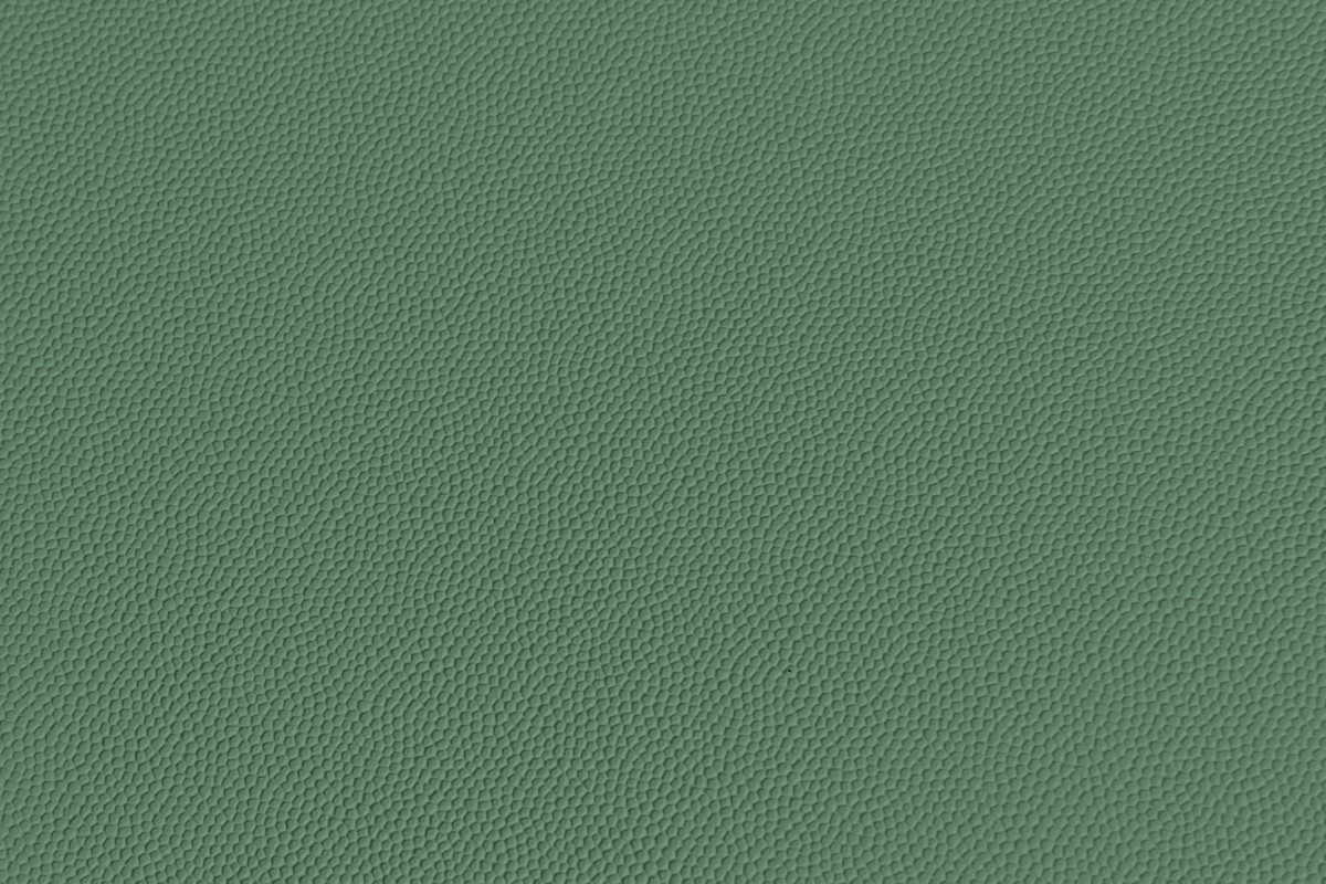 Couro BRYCON Verde