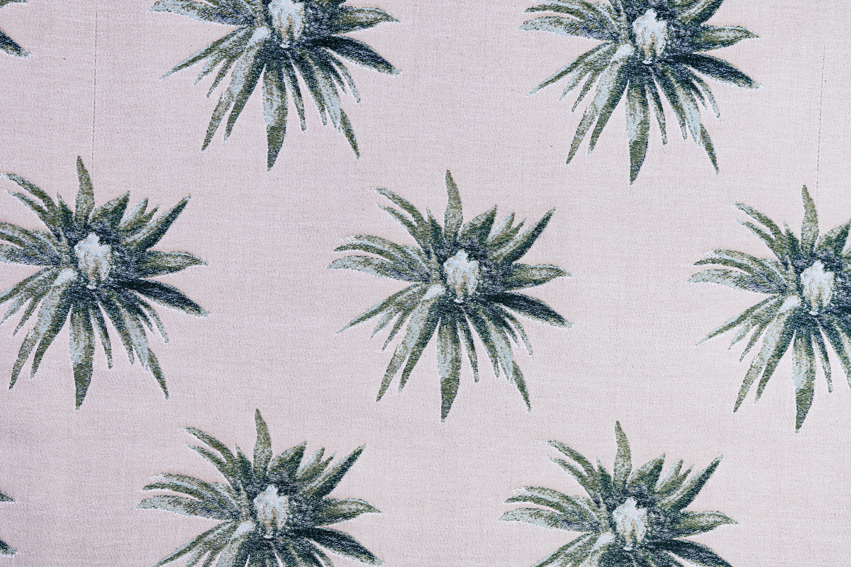 Jacquard Flor do MANDACARU