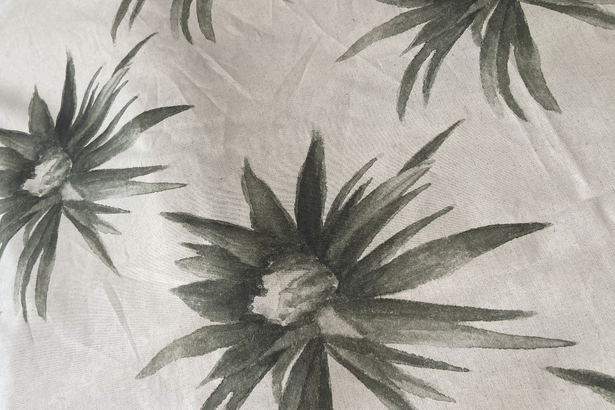 Algodão Flor do MANDACARU