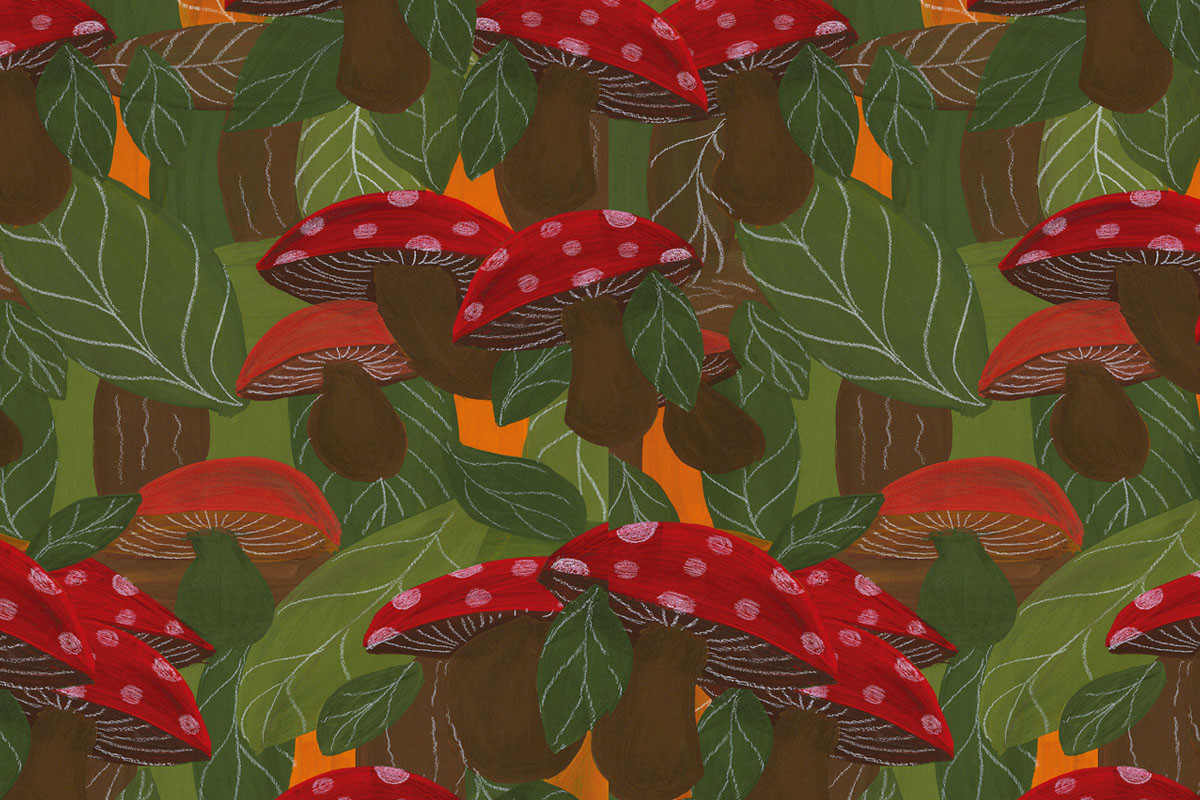 Papel de Parede COGUMELOS