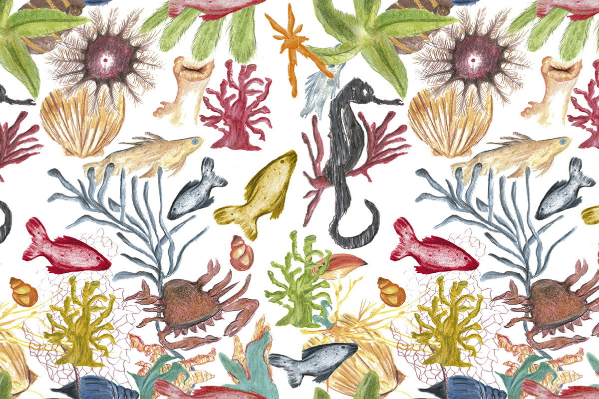 Papel de Parede FUNDO DO MAR