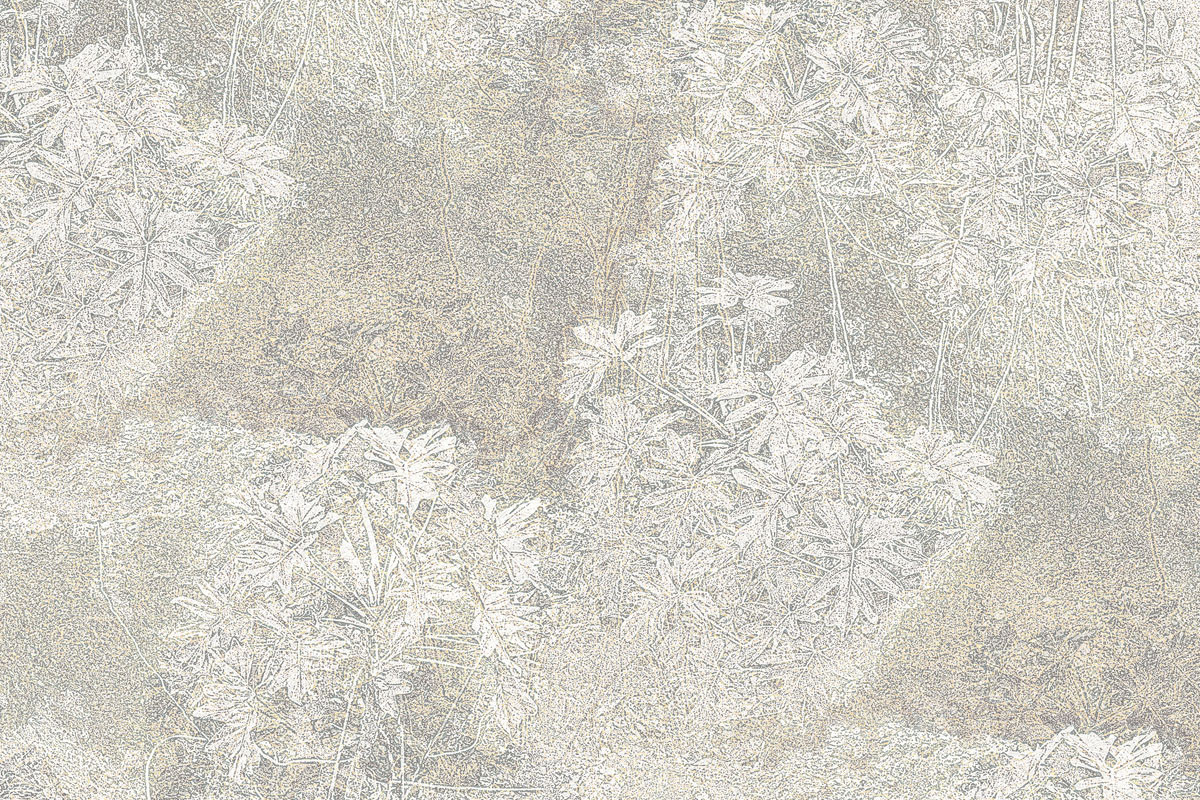 Papel de Parede GUAIMBÉ - Branco