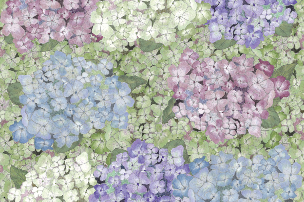 Papel de Parede HORTÊNSIAS
