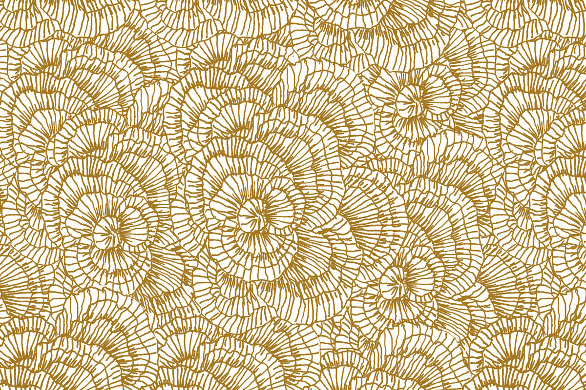 Papel de Parede LÍQUENS Laranja