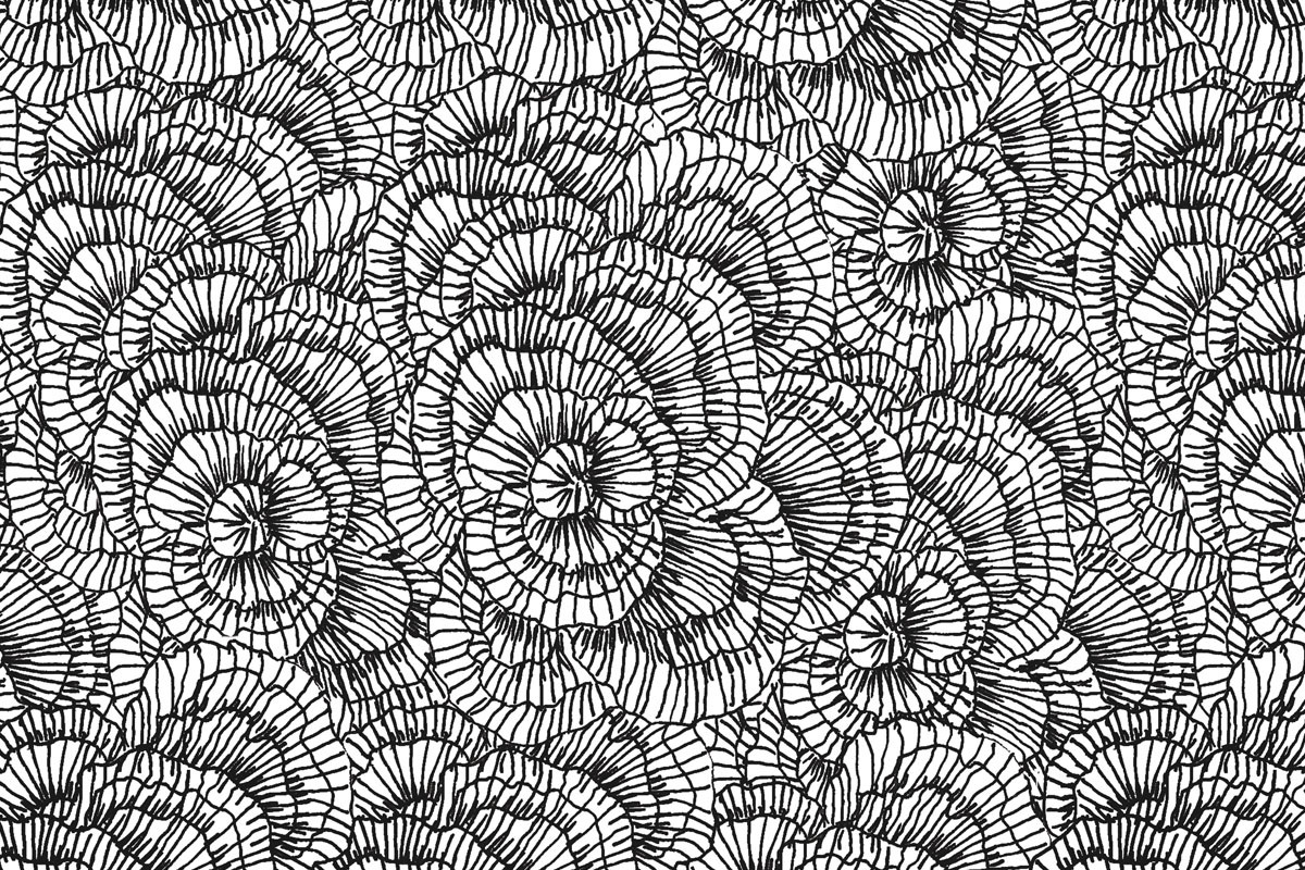 Papel de Parede LÍQUENS Preto
