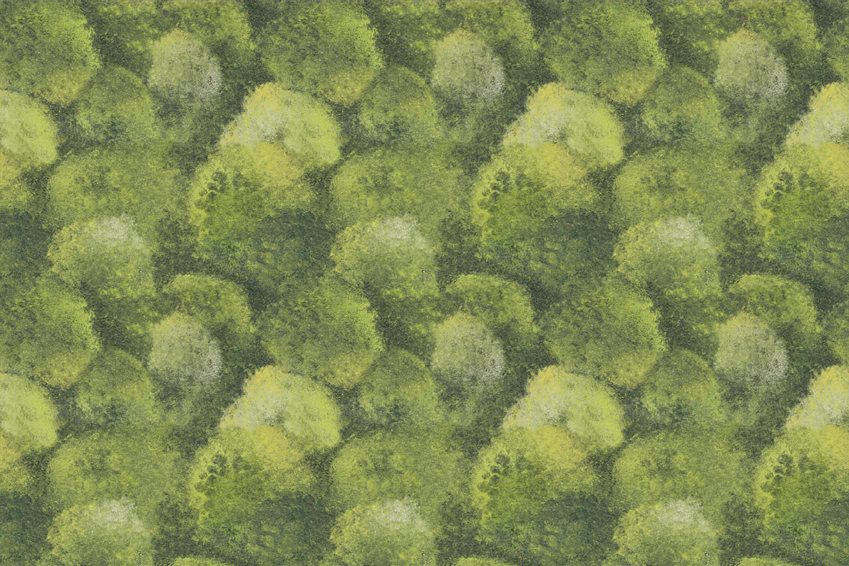 Papel de Parede MUSGO Verde