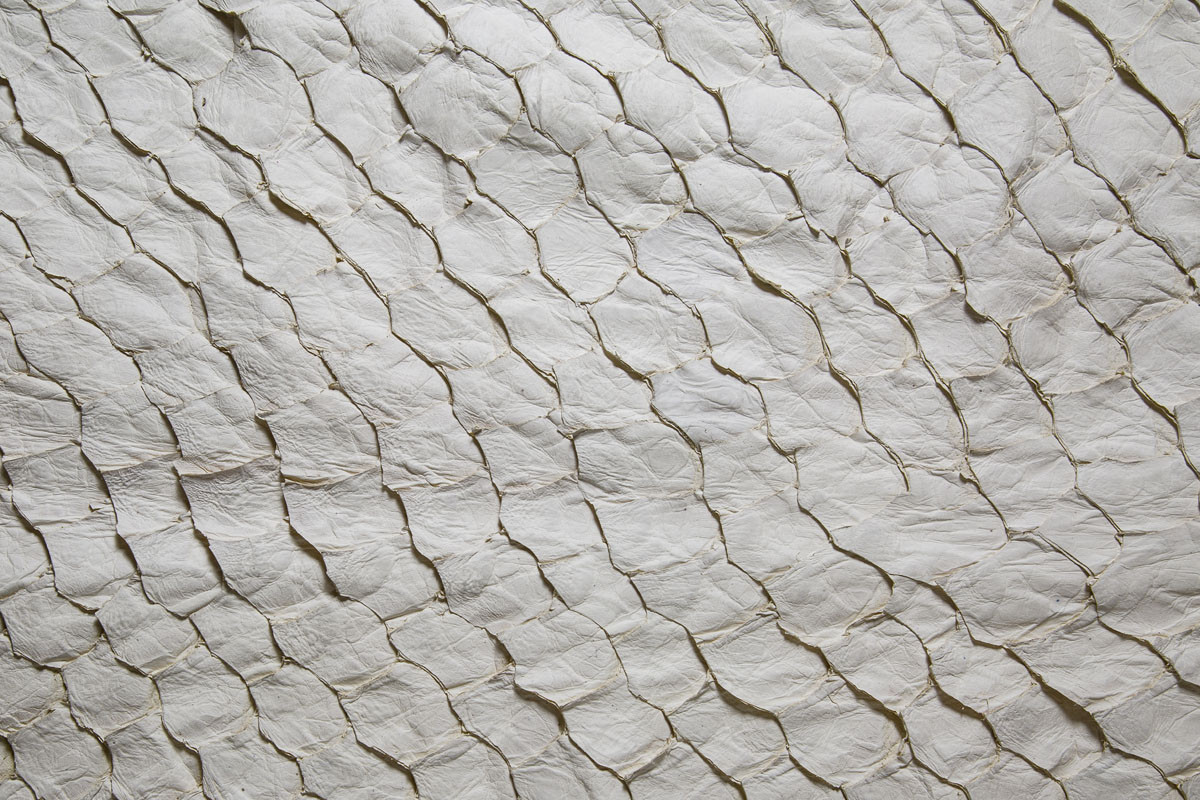 Pele de Peixe PIRARUCU Branco