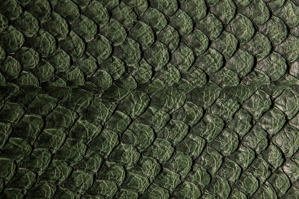 Pele de Peixe PIRARUCU Verde Escuro