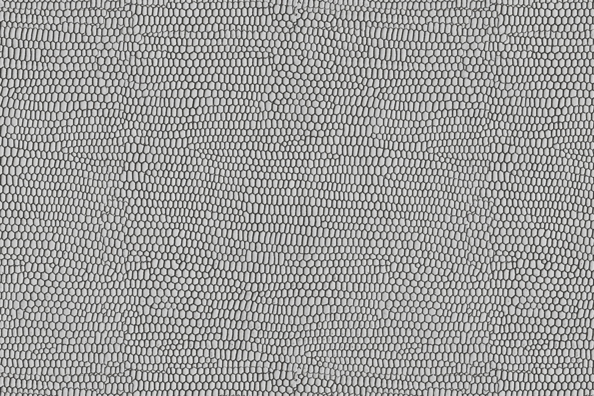 Papel de Parede PITON Cinza