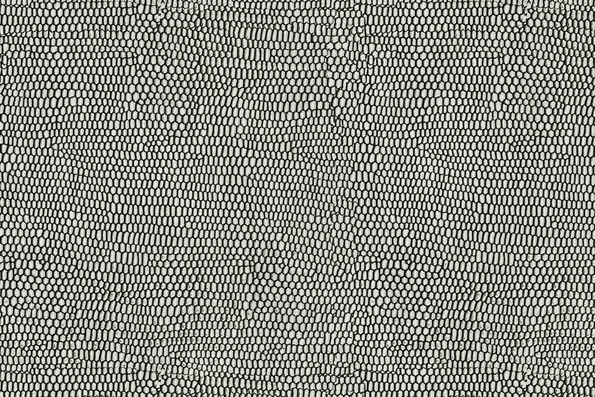 Papel de Parede PITON Verde