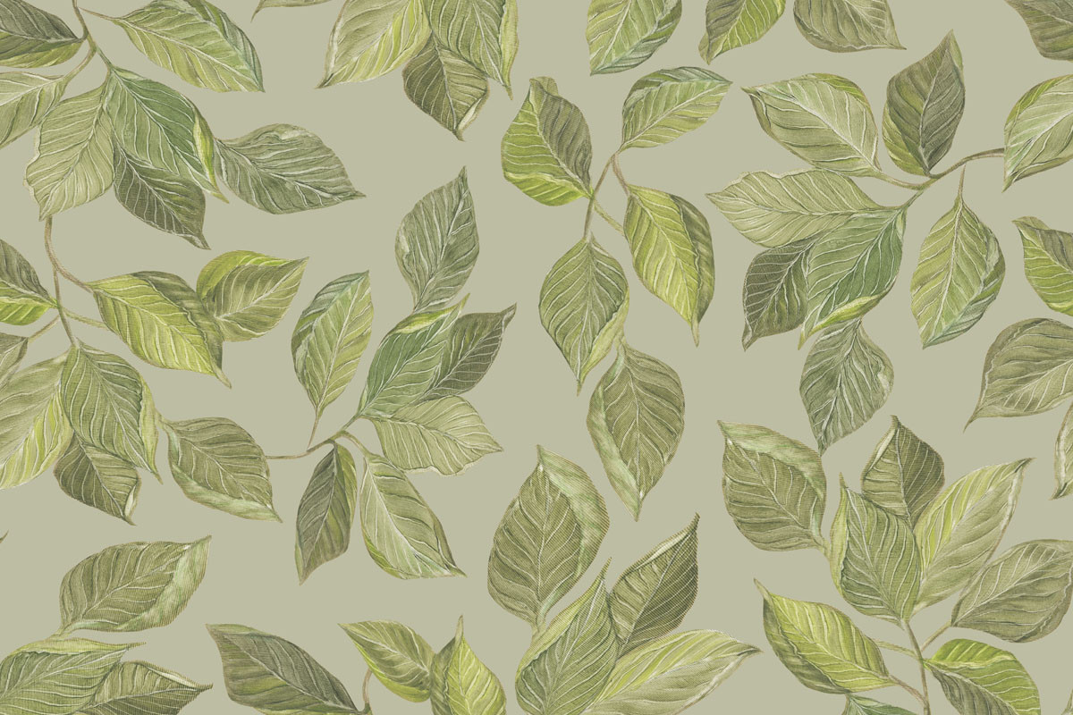 Papel de Parede Folhas de CACAU Prata