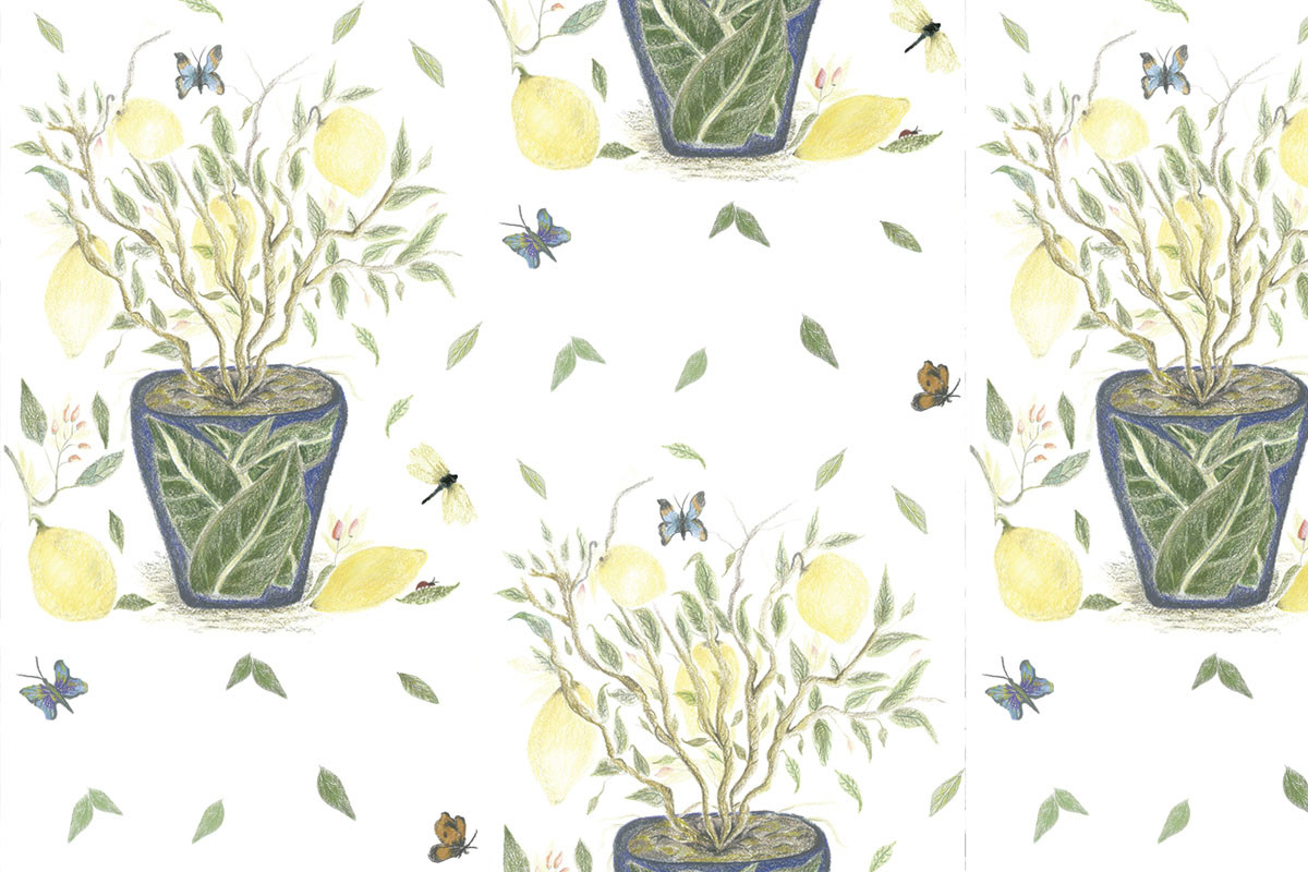 Papel de Parede Vaso LIMOEIRO