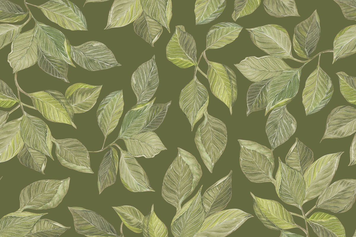 Papel de Parede Folhas de CACAU Verde