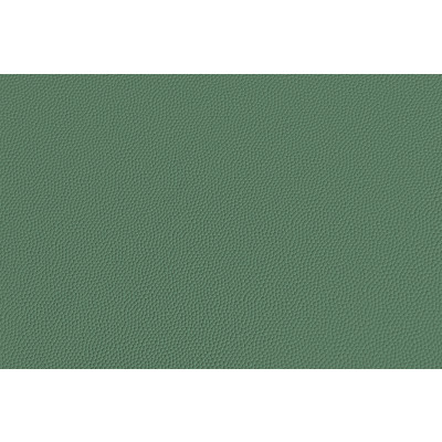 Couro BRYCON Verde