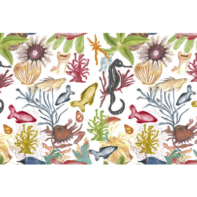 Papel de Parede FUNDO DO MAR