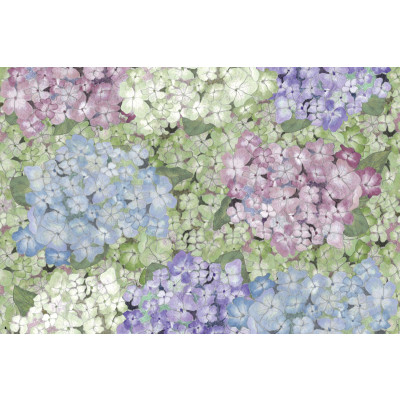 Papel de Parede HORTÊNSIAS