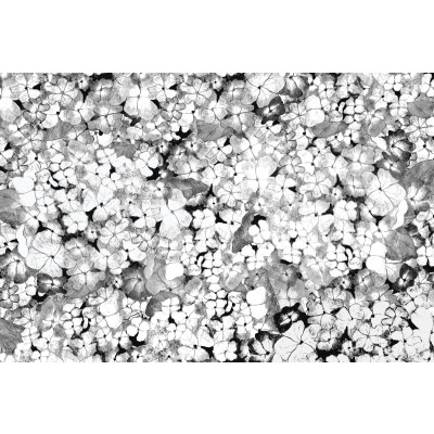 Papel de Parede HORTÊNSIAS - PeB