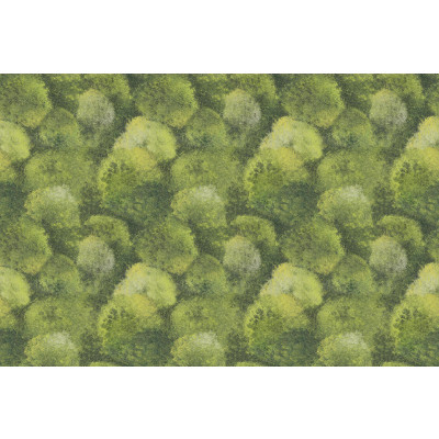 Papel de Parede MUSGO Verde