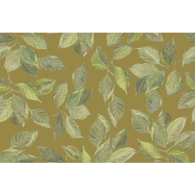 Papel de Parede Folhas de CACAU Ocre