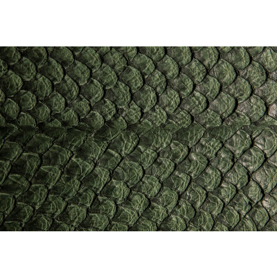 Pele de Peixe PIRARUCU Verde Escuro