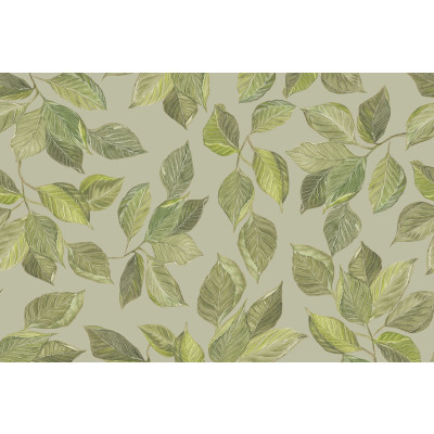 Papel de Parede Folhas de CACAU Prata