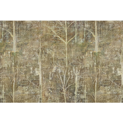 Papel de Parede REFLORESTA