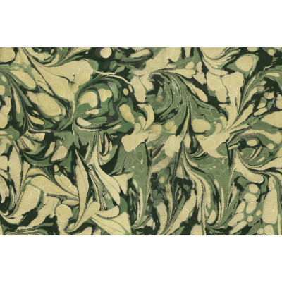 Papel de Parede TROPICAL