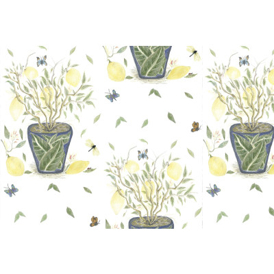 Papel de Parede Vaso LIMOEIRO