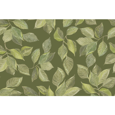 Papel de Parede Folhas de CACAU Verde